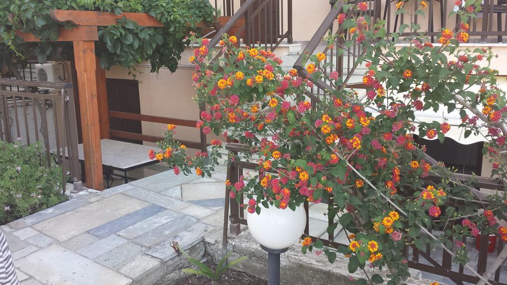 サルティStavros Houseアパートメント 部屋 写真
